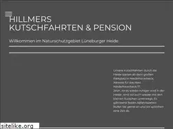 Sites similar to hillmers-kutschfahrten.de
