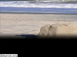 Sites similar to hiltonheadislandvacations.com