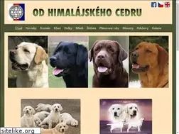 Sites similar to himalajskycedr.cz