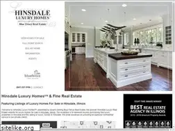 Sites similar to hinsdaleluxuryhomes.com