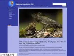 Sites similar to hippocampus-bildarchiv.de