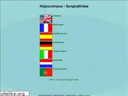 Sites similar to hippocampus-info.com