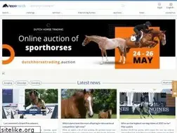 Sites similar to hippomundo.com