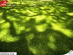 Sites similar to hirakawa-1147.jp