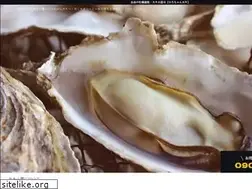 Sites similar to hirochankaki.com