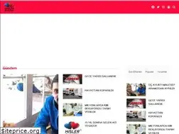 Sites similar to hisleraynasi.net