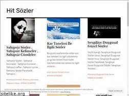 Sites similar to hitsozler.wordpress.com