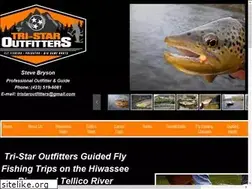 Sites similar to hiwasseeangler.com