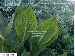 Sites similar to hiwasseenursery.com