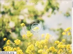 Sites similar to hiyuwinefarm.com