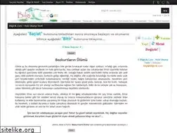 Sites similar to hizliokumatesti.bilgicik.com