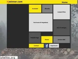 Sites similar to hjwinner.com