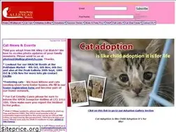 Sites similar to hkalleycatwatch.com