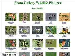 Sites similar to hlasek.com