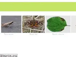 Sites similar to hmbg.org