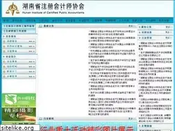 Sites similar to hnicpa.org