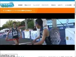 Sites similar to hnlekiden.jp