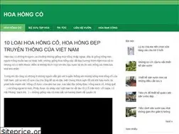 Sites similar to hoahongco.net