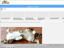 Sites similar to hobbiallat.hu