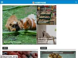 Sites similar to hobbymanie.tv