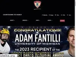 Sites similar to hobeybaker.com