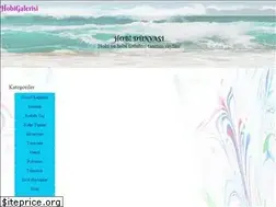 Sites similar to hobigalerisi.com