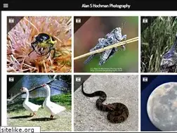 Sites similar to hochmanphotography.com