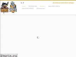 Sites similar to hockey-ahms.com