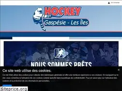 Sites similar to hockeygaspesielesiles.ca