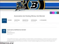 Sites similar to hockeymercier.com