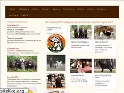 Sites similar to hoity-toity.ru