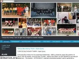Sites similar to hokeyturkiye.blogspot.com