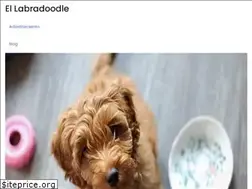Sites similar to holapeques.com