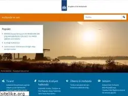 Sites similar to hollandavesen.nl