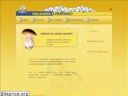 Sites similar to holoubekapravnuci.cz