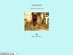 Sites similar to holy-stones.de.tl