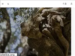 Sites similar to holyland-olivewood.com