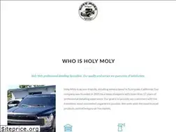 Sites similar to holymolythatsshiny.com