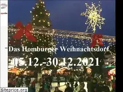 Sites similar to homburger-weihnachtsdorf.de