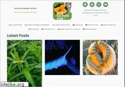 Sites similar to homegrownfun.com