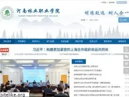 Sites similar to homeopatch.com