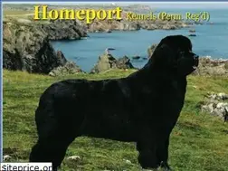 Sites similar to homeportnewfoundlands.ca