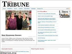 Sites similar to homertribune.com