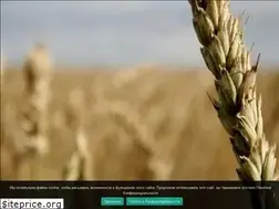 Sites similar to homesamogon.ru