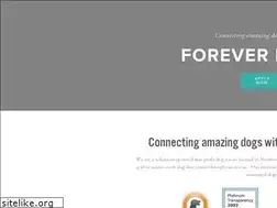 Sites similar to homewardboundawg.com