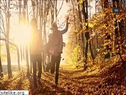 Sites similar to homixx.be