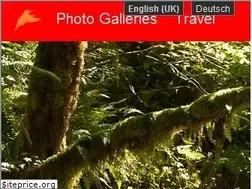 Sites similar to hondast.de