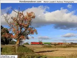 Sites similar to hondawanderer.com