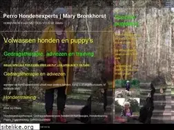 Sites similar to hondenexperts.nl