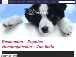 Sites similar to hondenpension.be